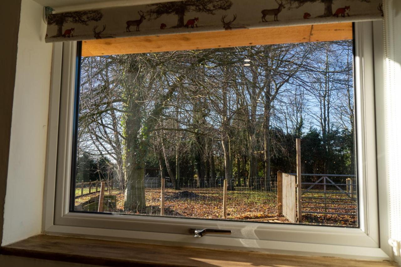 Rose Hideaway - Forest Of Dean Cosy Cabin Retreat Yorkley Exteriér fotografie
